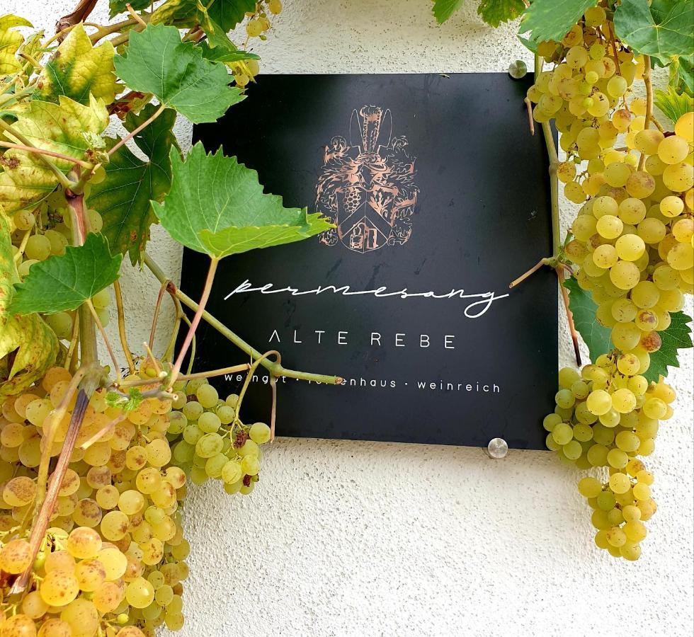 Zur Alten Rebe Ferienhaus Und Weingut Конц Екстер'єр фото