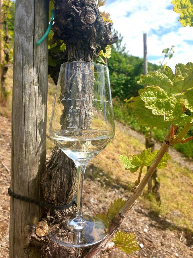Zur Alten Rebe Ferienhaus Und Weingut Конц Екстер'єр фото