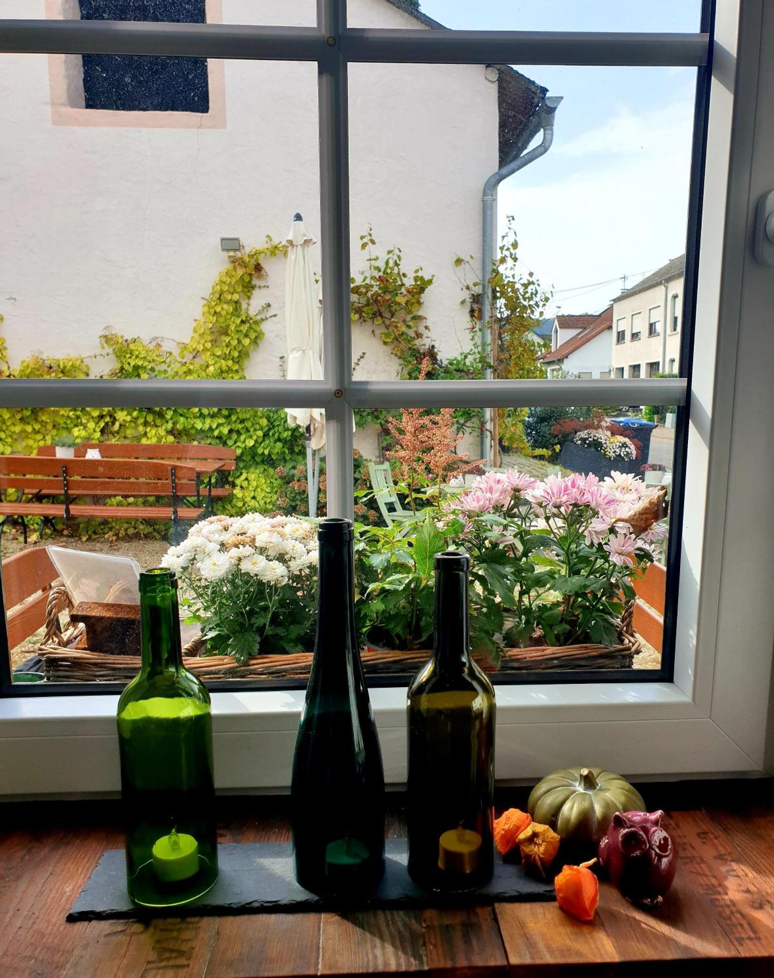 Zur Alten Rebe Ferienhaus Und Weingut Конц Екстер'єр фото