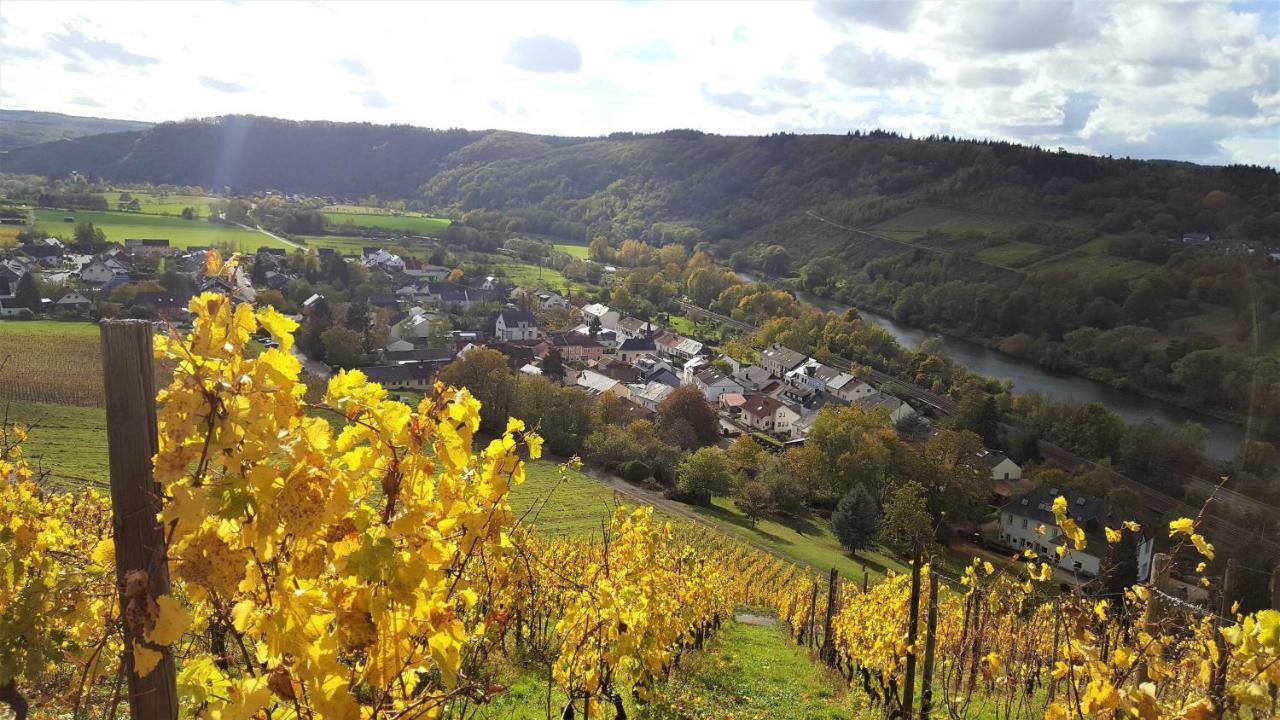Zur Alten Rebe Ferienhaus Und Weingut Конц Екстер'єр фото