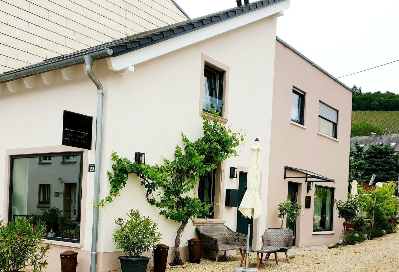 Zur Alten Rebe Ferienhaus Und Weingut Конц Екстер'єр фото