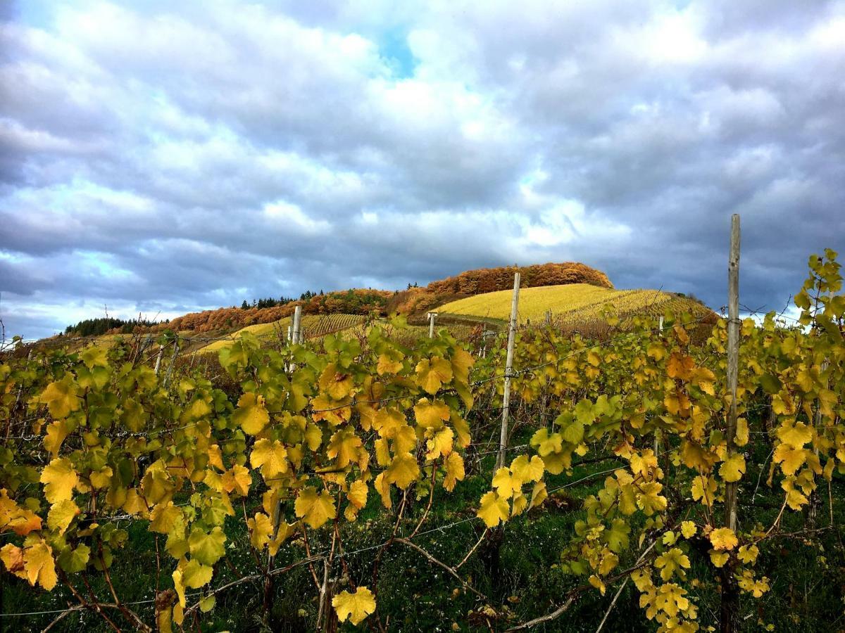 Zur Alten Rebe Ferienhaus Und Weingut Конц Екстер'єр фото